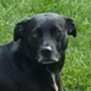 Meet your Posher, Cathy